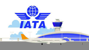 Airline 5